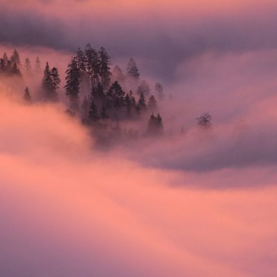 mer-de-brume-en-montagne